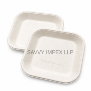 1D Snack Tray Sugar Bagasse Plate