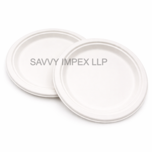 10Inch Round Sugar Bagasse Plate
